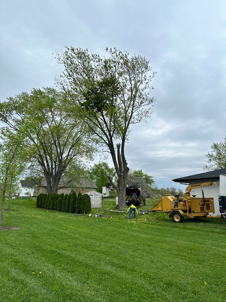 Our Tree & Stump Grinding Removal service provides efficient and thorough removal of unwanted trees and stumps from your property, promoting healthy growth and enhancing the overall appearance of your lawn. for Torres Lawn & Landscaping in Valparaiso, IN