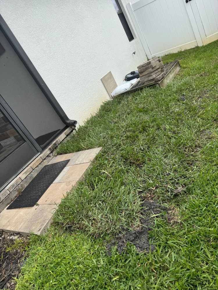 All Photos for BH Lawn and Landscape in Fort Myers, FL