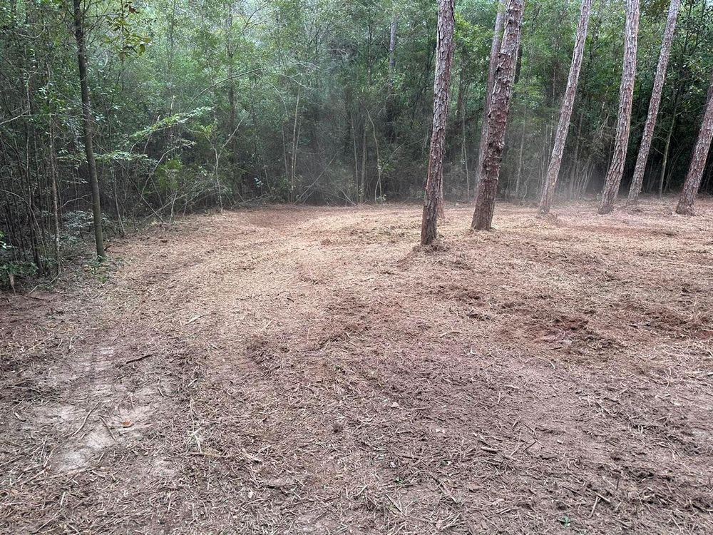 All Photos for White’s Land Maintenance in Milton,, FL