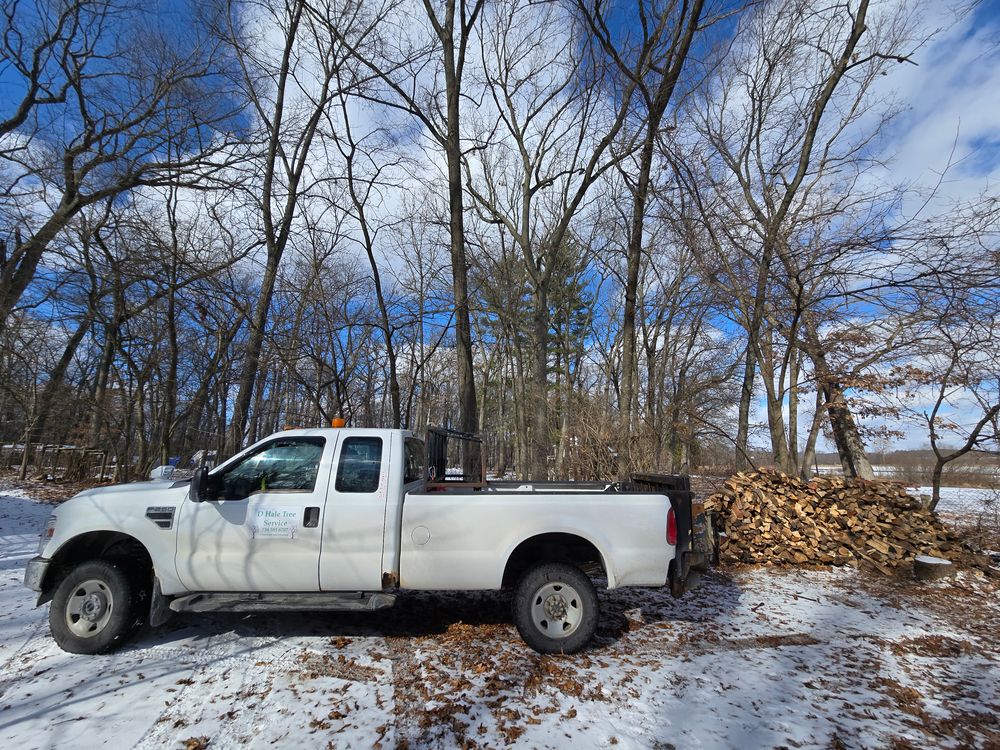 All Photos for D Hale Tree Service in Ann Arbor, MI
