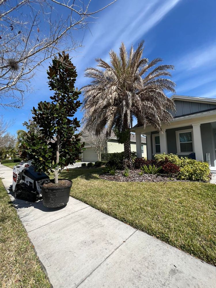 Tree Removal for TREE BOYS in Ruskin, FL