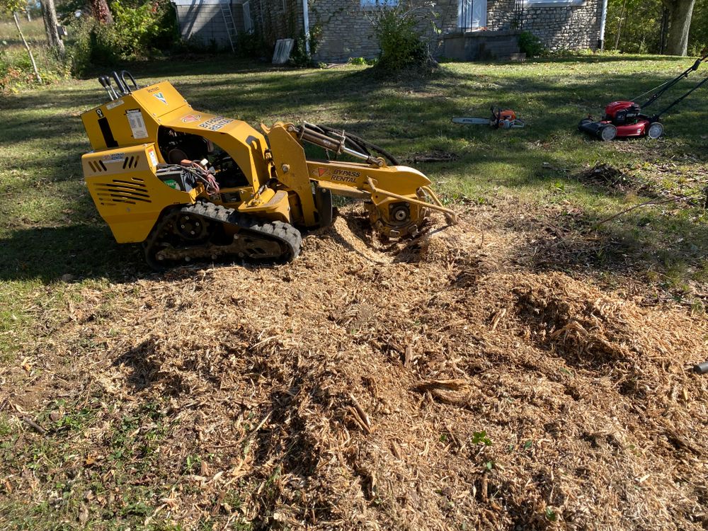 All Photos for Houtz Tree Service in Lexington, KY