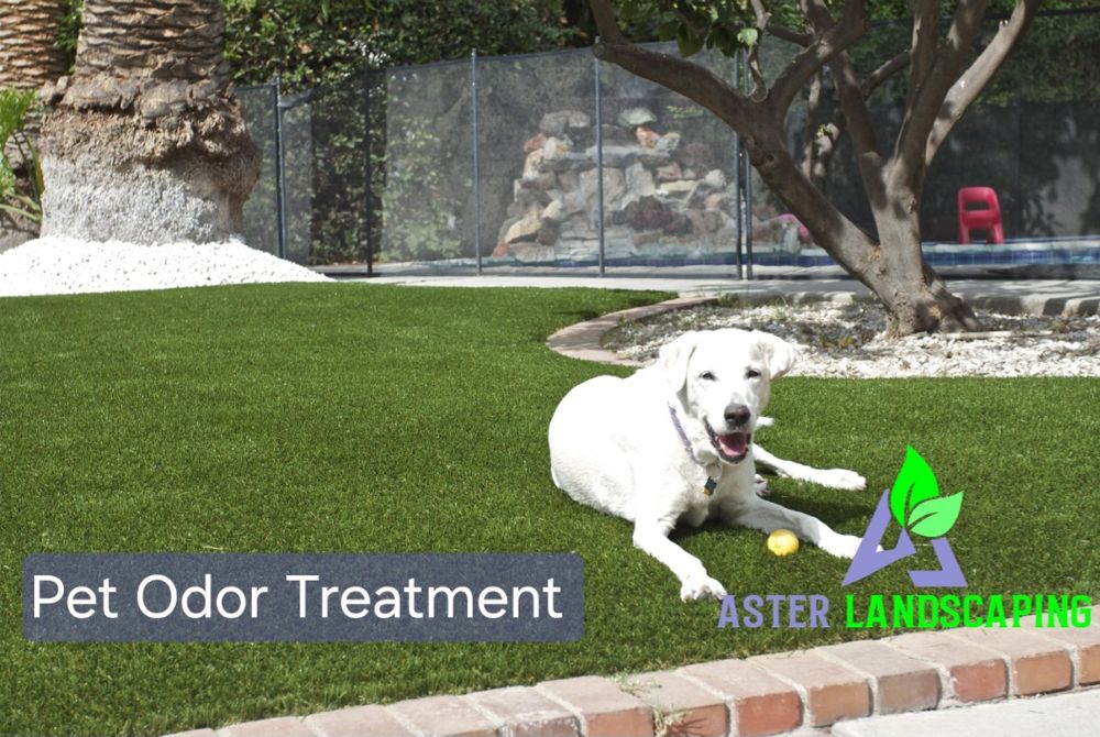 All Photos for Aster Landscaping in Temecula, CA
