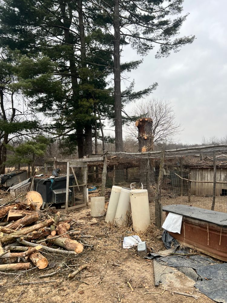 All Photos for Kadin’s Tree Service in North Vernon, IN