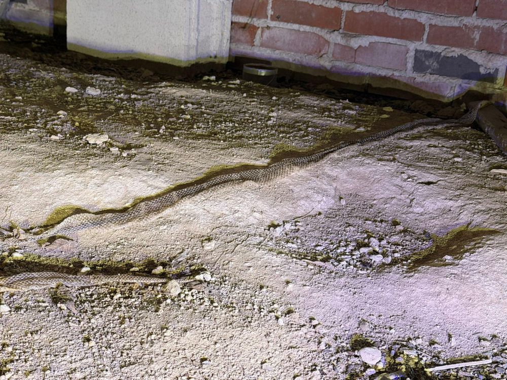 All Photos for VIP Plumbing in Cannon, GA