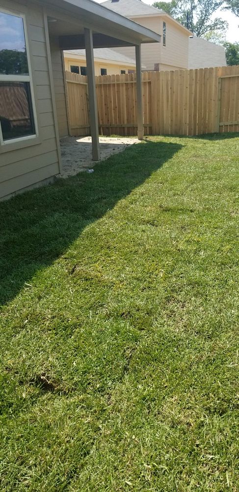 Sod for Silver Mines Landscape & Construction, LLC. in Houston, TX