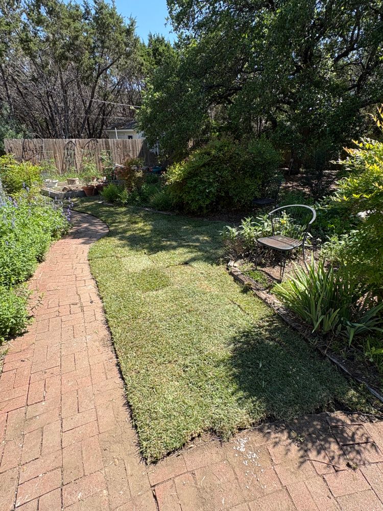 All Photos for Bad Axe Landscapes LLC in Bulverde, TX