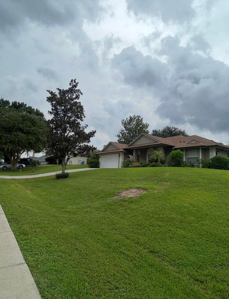 Tree Removal for A-1 Arbor Tech in Groveland, FL