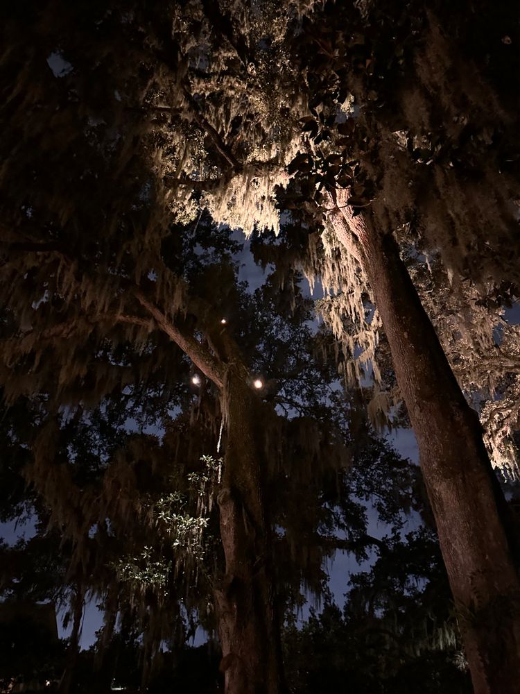 All Photos for Coastal Lighting in Ponte Vedra, FL