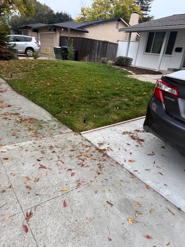 All Photos for CBA Landscaping in Hayward, CA