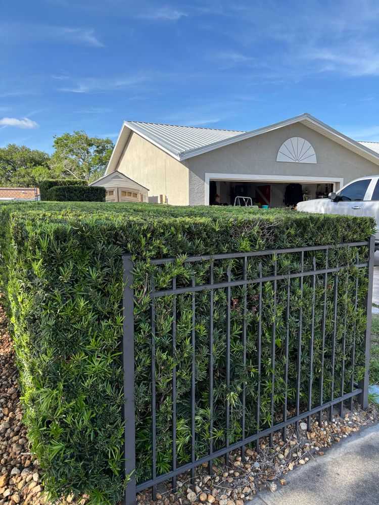 All Photos for Space Coast Property Maintenance and Management LLC in Melbourne, FL