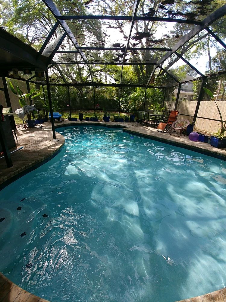Blue Bay Pools team in Tampa, FL - people or person