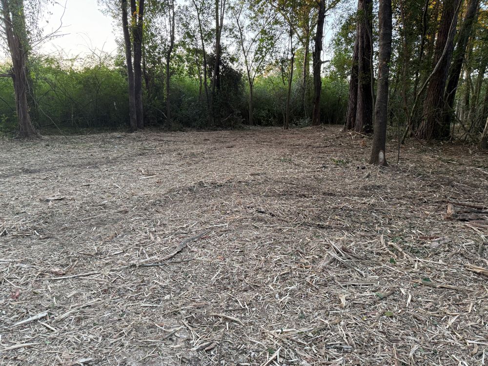 All Photos for T N L - Tree and Land Service in Reynolds, GA