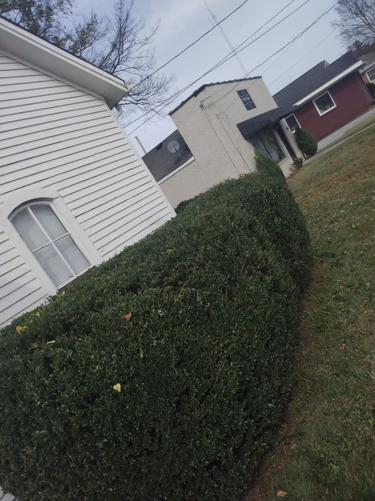 Lawn Care for Mark's Lawn Care in Mount Pleasant, TN