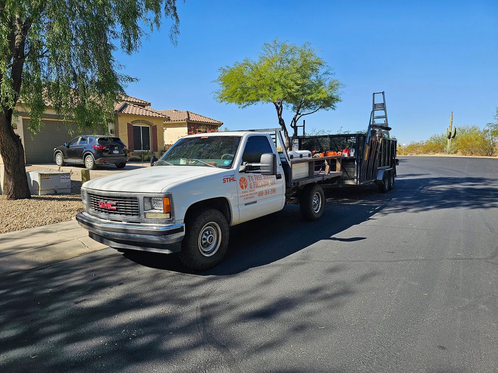 Tree Removal for T's Tree Service and Firewood in Apache Junction, AZ