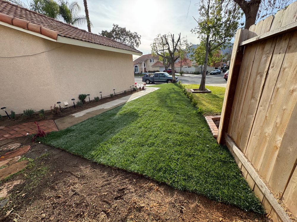 Sod Installations for Aidan Jade Landscaping in Riverside County, CA