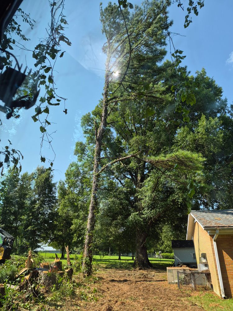 All Photos for 5 Star Land Management in Beech Bluff, TN