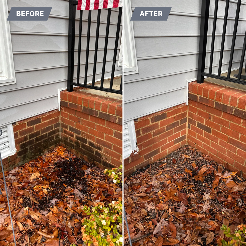 All Photos for LeafTide Solutions in Richmond, VA