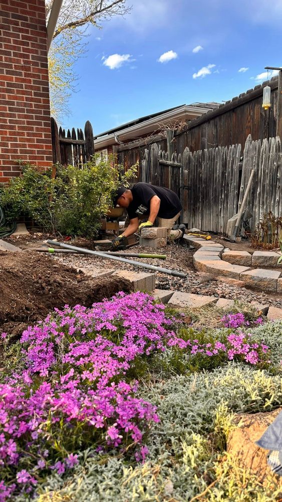 Double Leaf Landscape & Home Repair LLC. team in Denver, CO - people or person