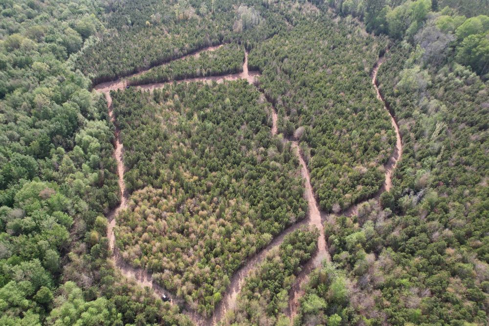 All Photos for KLNAX Enterprises in Newton County, GA