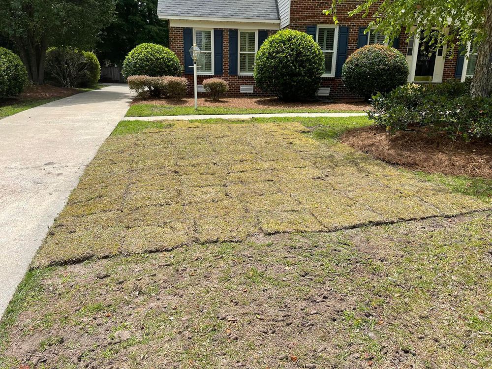 All Photos for Sabre's Edge Pressure Washing in Greenville, NC