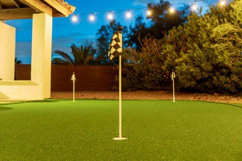 All Photos for All Green Landscapes in Phoenix, AZ