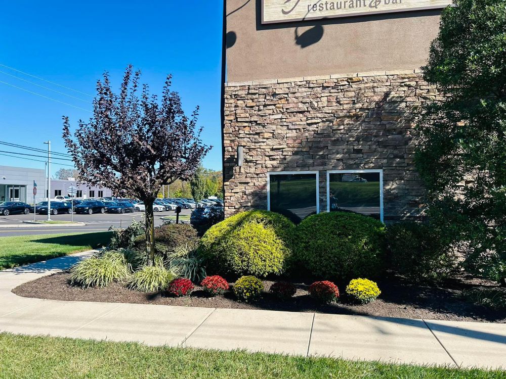 All Photos for The FAAR Group INC in Chalfont, PA