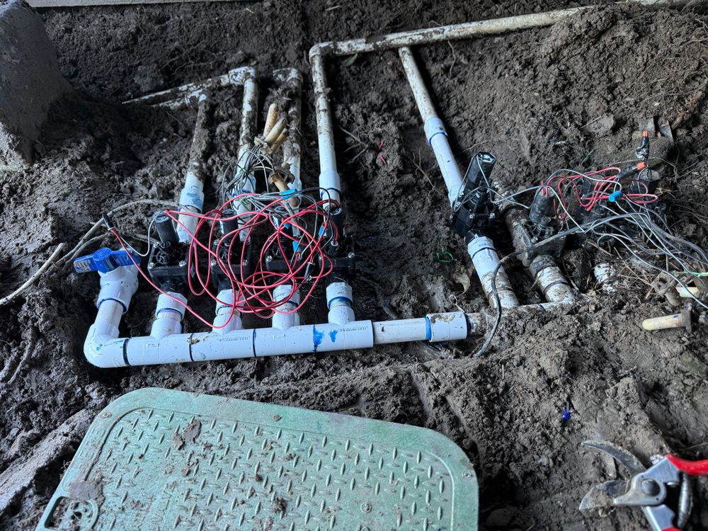 All Photos for CBA Landscaping in Hayward, CA