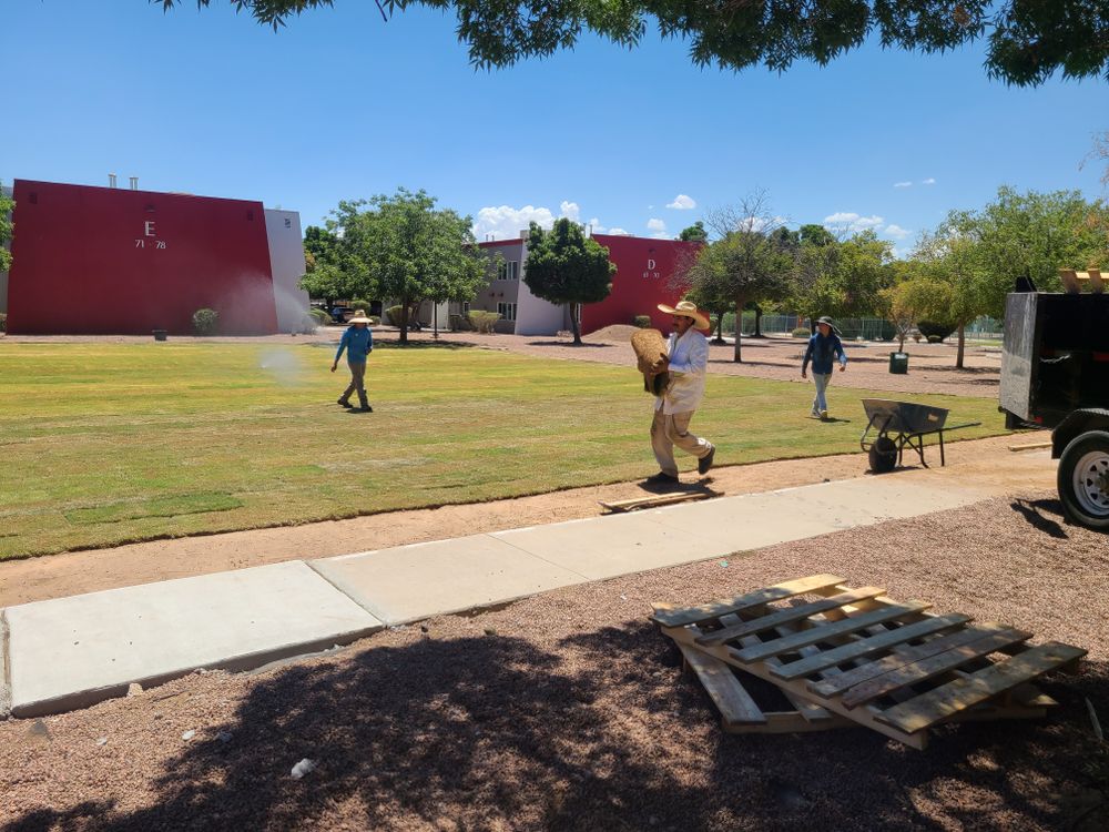 Commercial Sod & Irrigation for ADM Landscaping & Irrigation LLC in El Paso,  TX