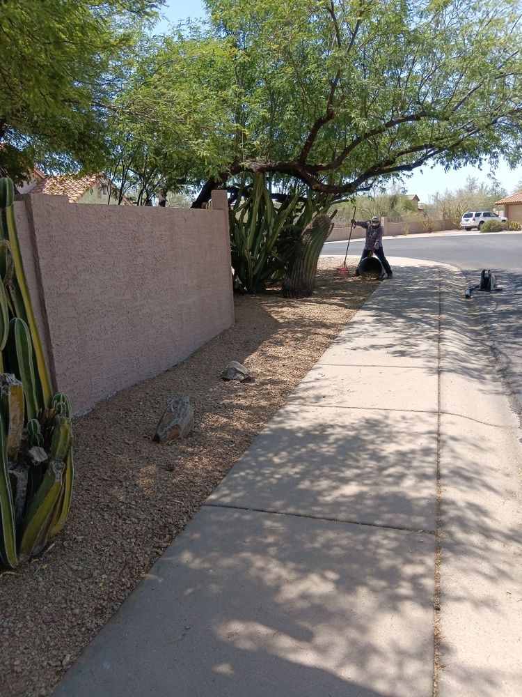 All Photos for Family Landscaping in Phoenix, AZ