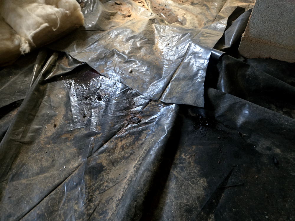 All Photos for Carolina Woodworks in Lyman, SC