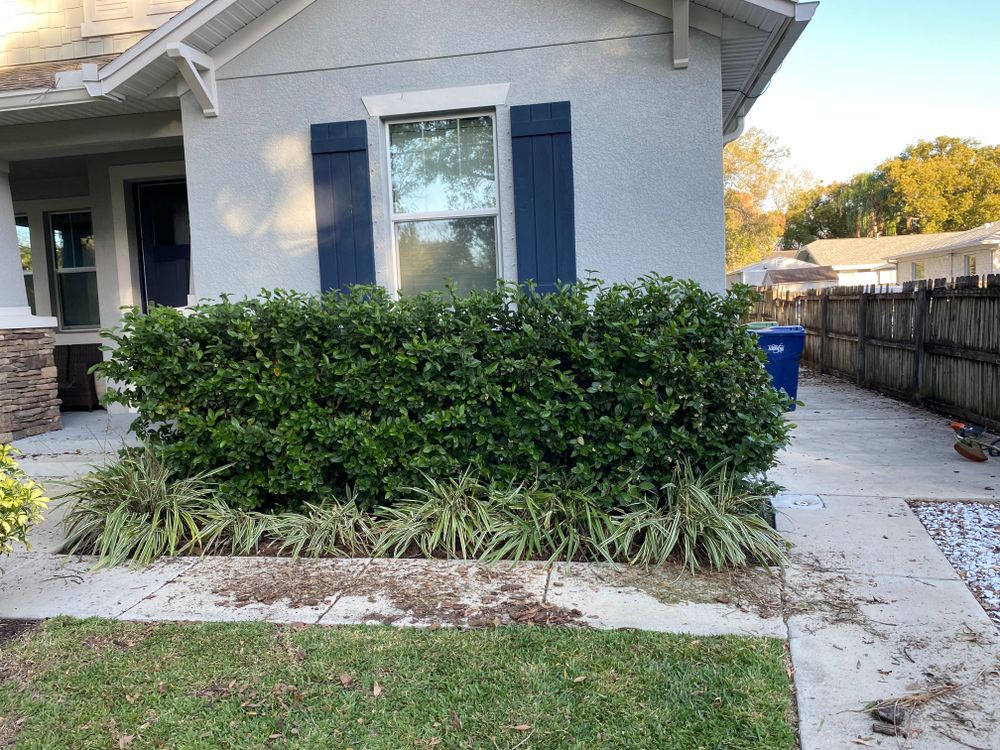 Landscaping for Nunez Concrete & Landscape LLC in Tampa Heights, FL