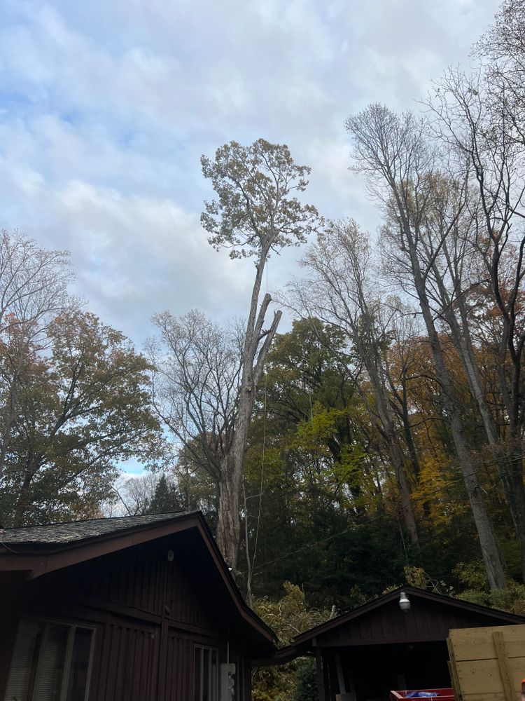 All Photos for Ground To Sky Tree Care in Asheville, North Carolina