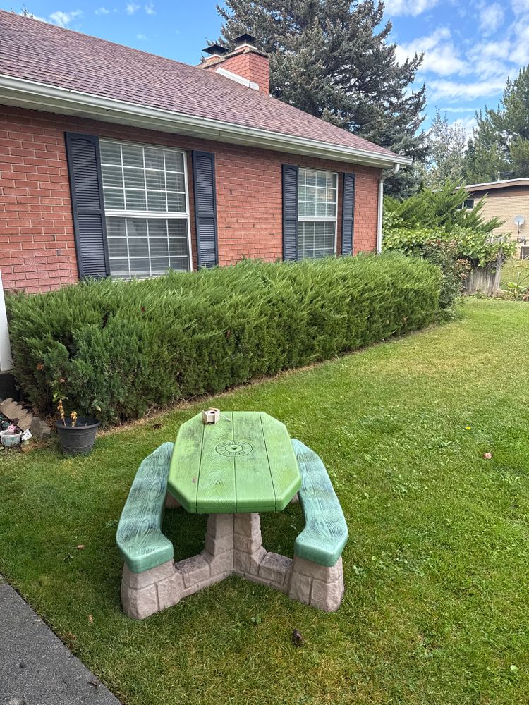 All Photos for Platinum Lawn Service in Santaquin, UT