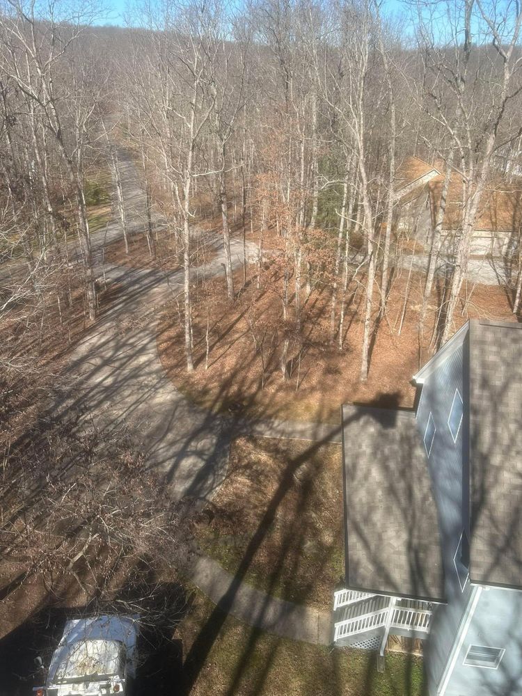 All Photos for McBee’s Tree Service in Sewanee, TN