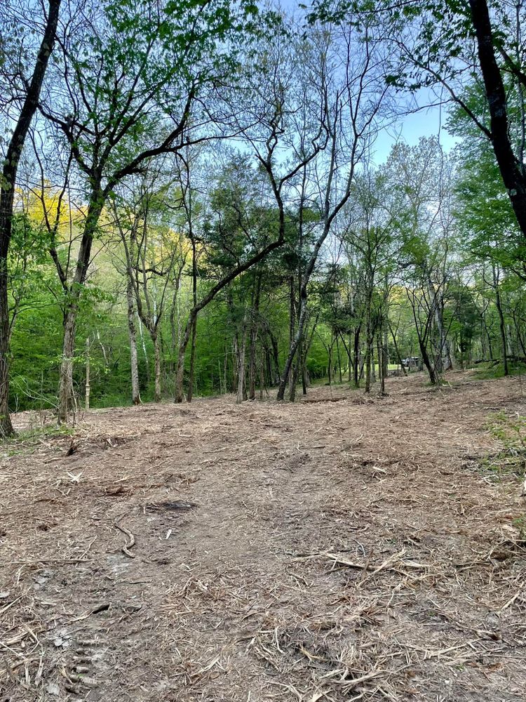 Pasture Reclamation for Bass Land Management in Yellville, AR