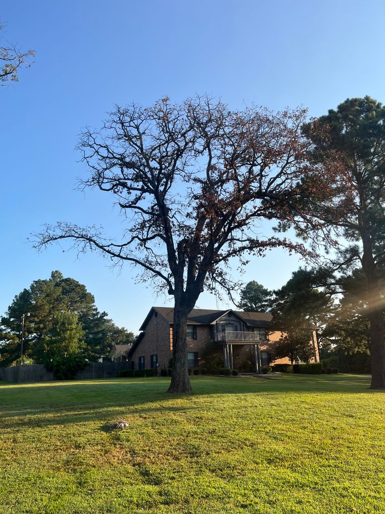 All Photos for JC Land and Tree Service in Kilgore, TX