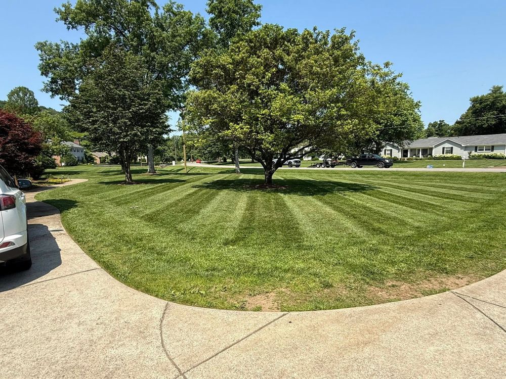 Transform your lawn with our professional seeding service, designed to enhance your landscape's health and appearance by promoting lush, resilient grass growth throughout every season. experience a thriving yard today! for Foxlan Landscapes in Fairview, TN