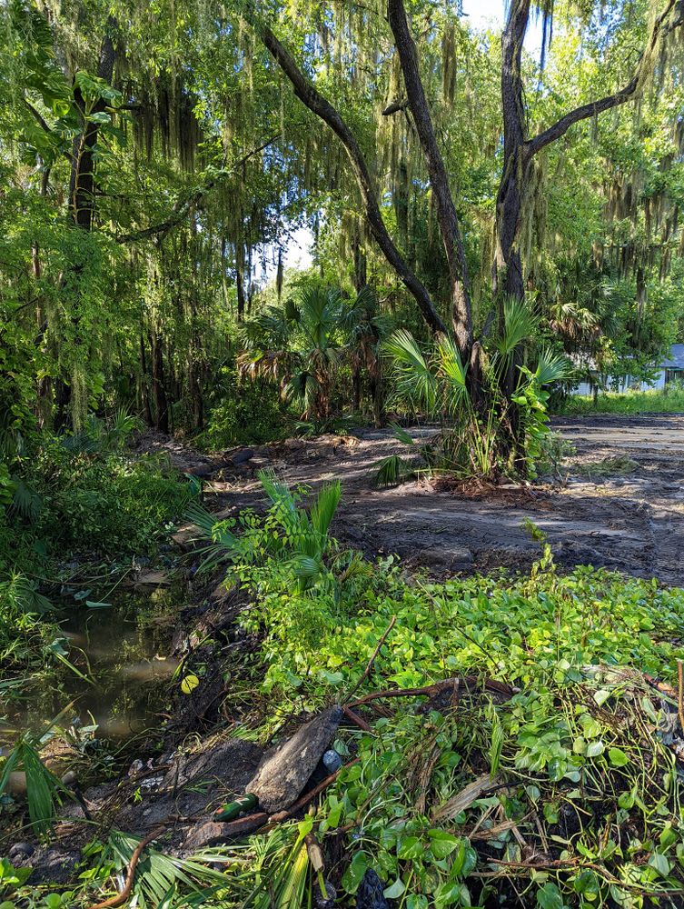 All Photos for DLC Land Clearing in Glen Saint Mary, FL