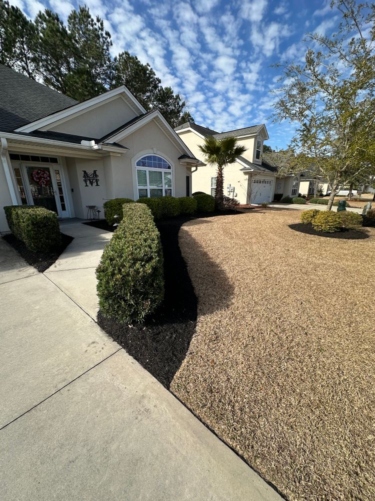 Before & Afters  for Coastalscapes Landscaping & Turf Management  in Savannah, GA