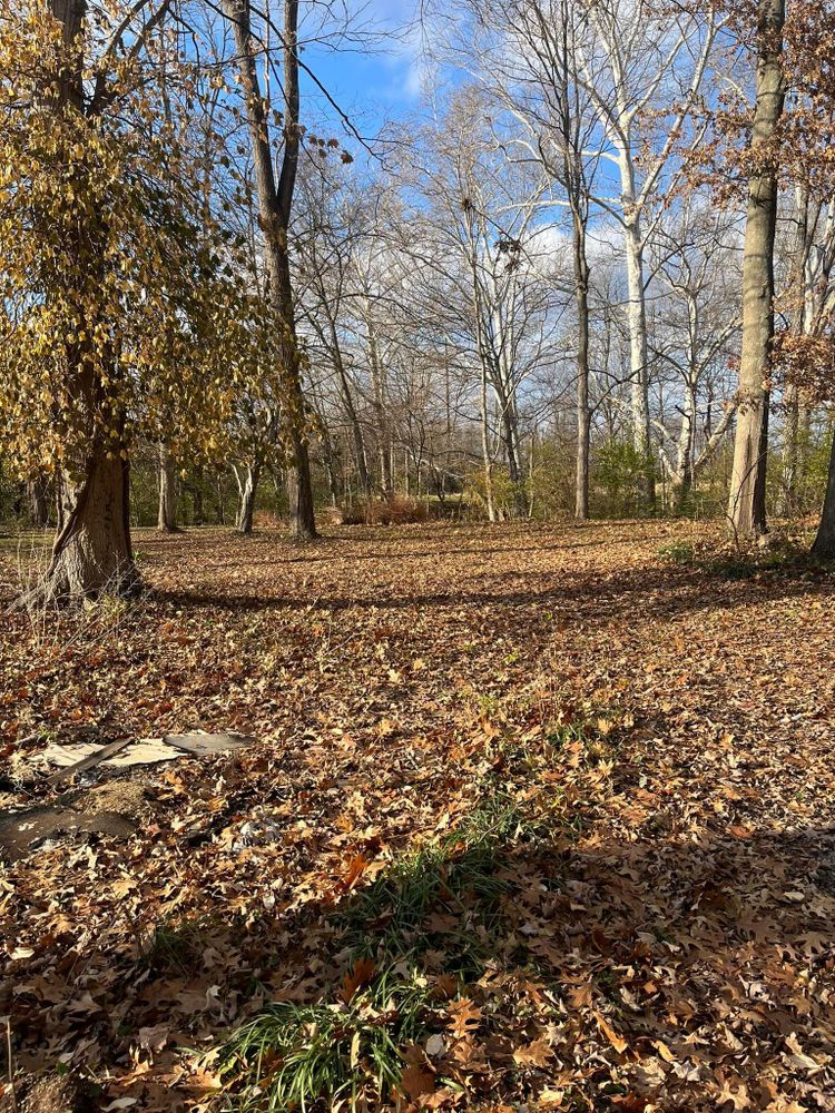 All Photos for Cincinnati’s Finest Landscape Services LLC in Cincinnati, OH
