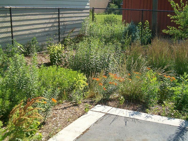 All Photos for Terra Heights Tree Experts & Landscaping  in Grass Valley,  CA