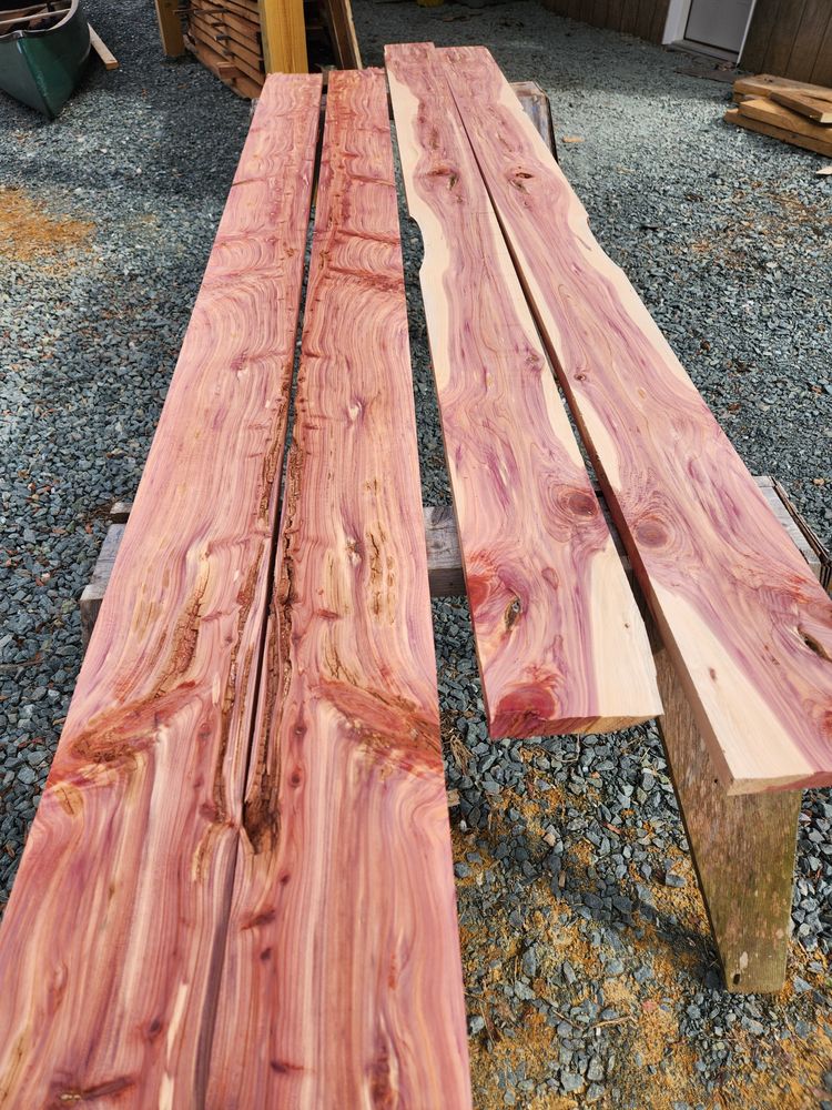 All Photos for Smith Tree Experts in Palmyra, VA