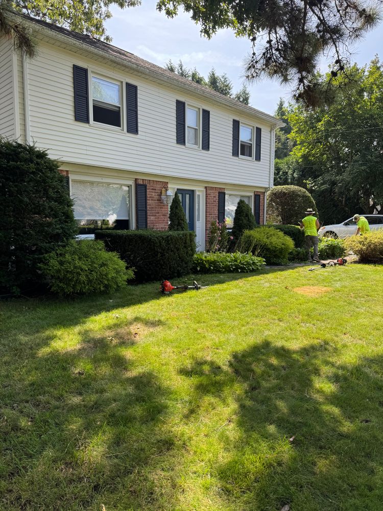 All Photos for Adams Landscaping in Springfield, MA