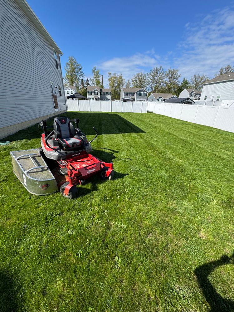 All Photos for Yard Theory in Willowick, OH