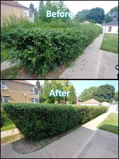 All Photos for Details Premium Lawn Care and Snow Removal in Milwaukee, WI