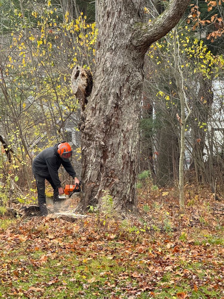 All Photos for Clifford’s Quality Tree Care & Landscaping in Enfield, NH