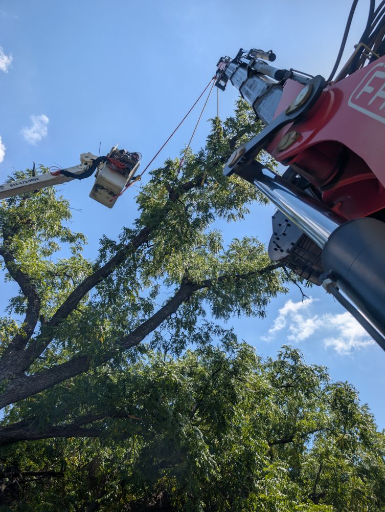 All Photos for Mitchell Tree Company in Lathrop, MO