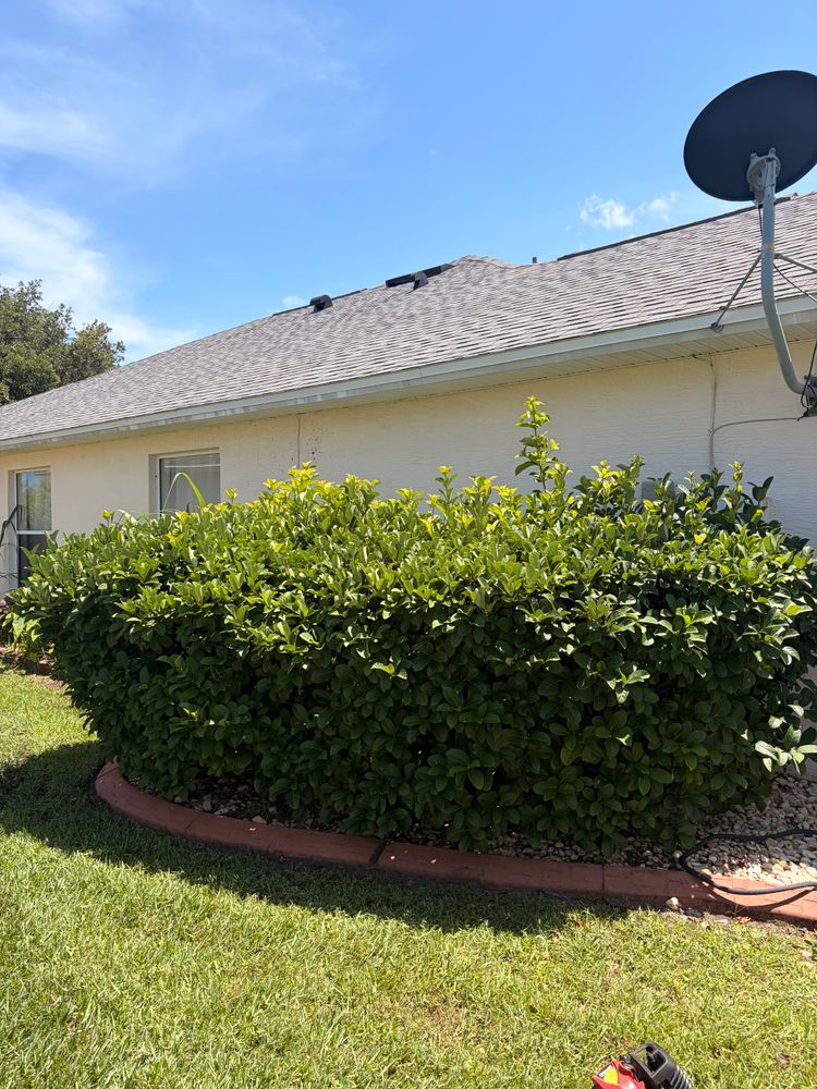 All Photos for Vanic's Landscaping in Port Orange, FL