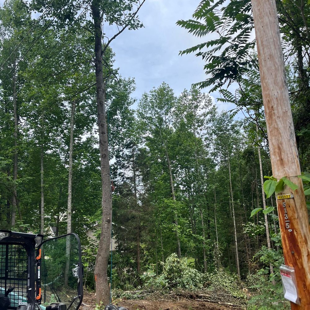 Enhance your home's curb appeal with our expert shrub trimming service, ensuring precise shaping and healthy growth to create a beautiful, well-maintained landscape that complements your outdoor space perfectly. for Taylors Enterprises in Johnson City, TN